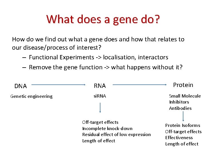 What does a gene do? How do we find out what a gene does