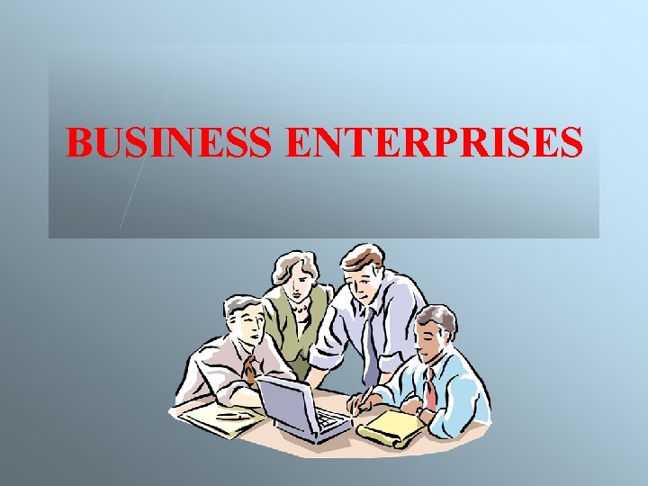 BUSINESS ENTERPRISES 