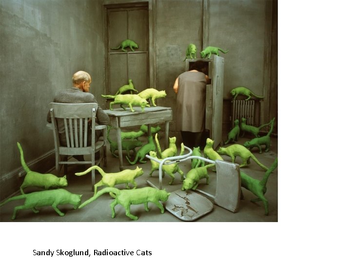 Sandy Skoglund, Radioactive Cats 