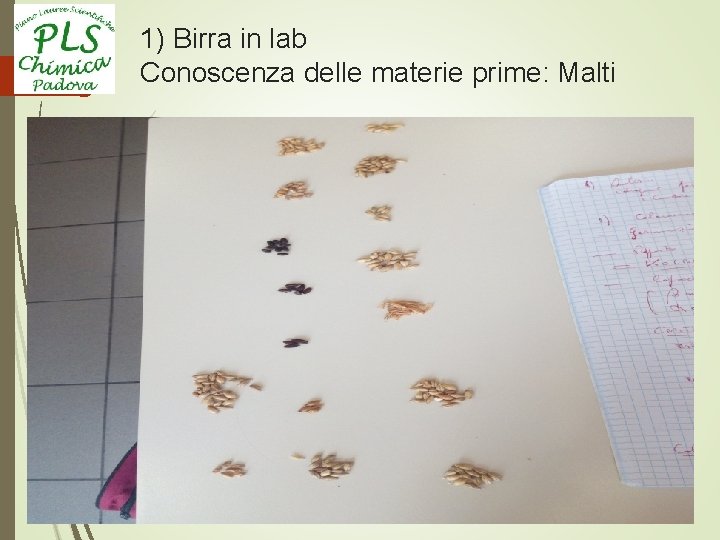 1) Birra in lab Conoscenza delle materie prime: Malti 