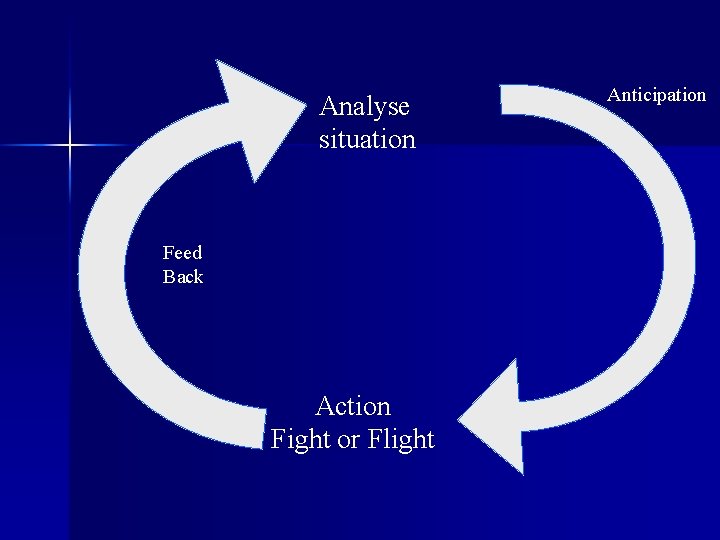 Analyse situation Feed Back Action Fight or Flight Anticipation 