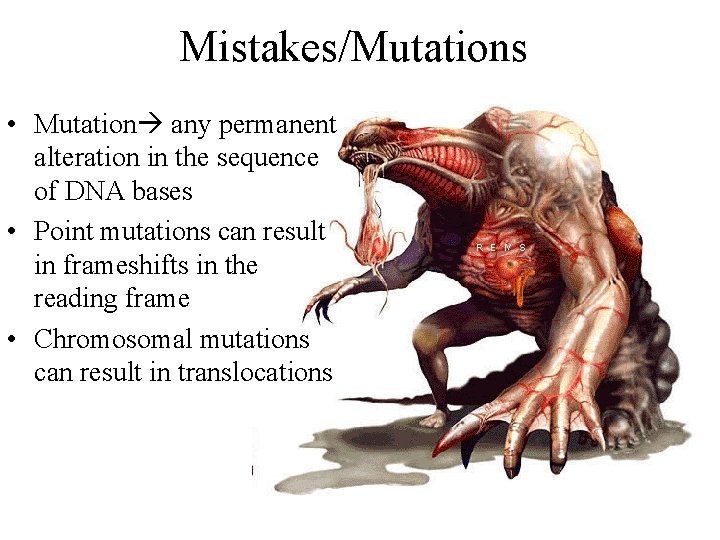 Mistakes/Mutations • Mutation any permanent alteration in the sequence of DNA bases • Point