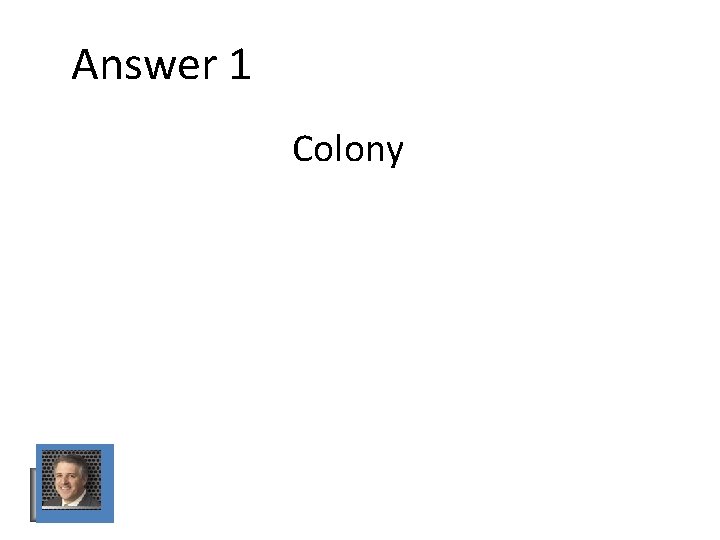 Answer 1 Colony Answer 1 Colony