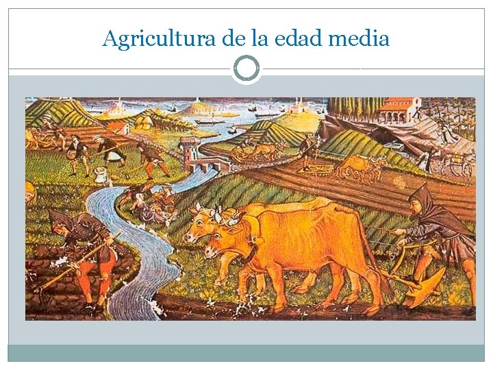 Agricultura de la edad media 