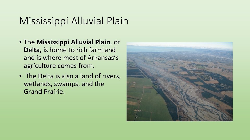 Mississippi Alluvial Plain • The Mississippi Alluvial Plain, or Delta, is home to rich