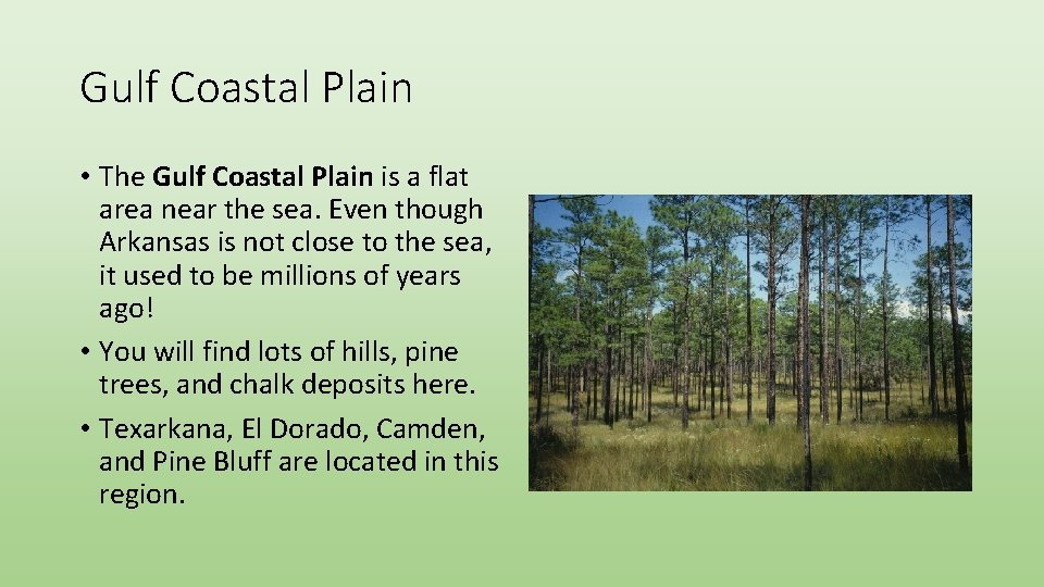 Gulf Coastal Plain • The Gulf Coastal Plain is a flat area near the