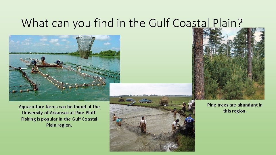What can you find in the Gulf Coastal Plain? Aquaculture farms can be found
