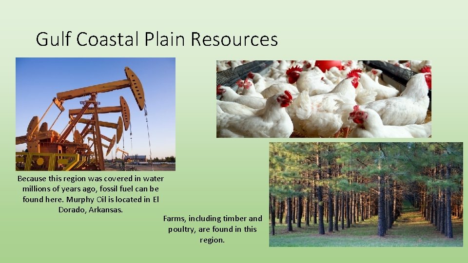 Gulf Coastal Plain Resources Because this region was covered in water millions of years