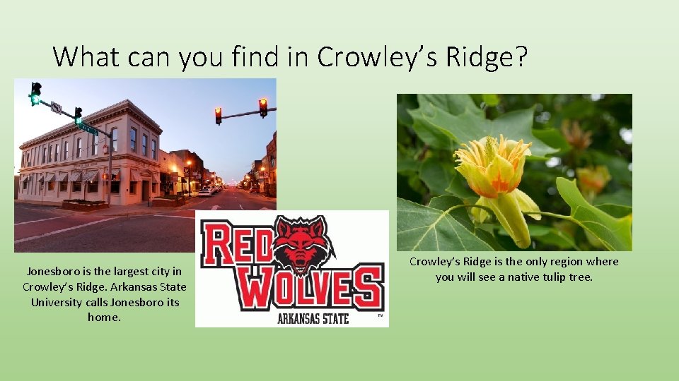 What can you find in Crowley’s Ridge? Jonesboro is the largest city in Crowley’s