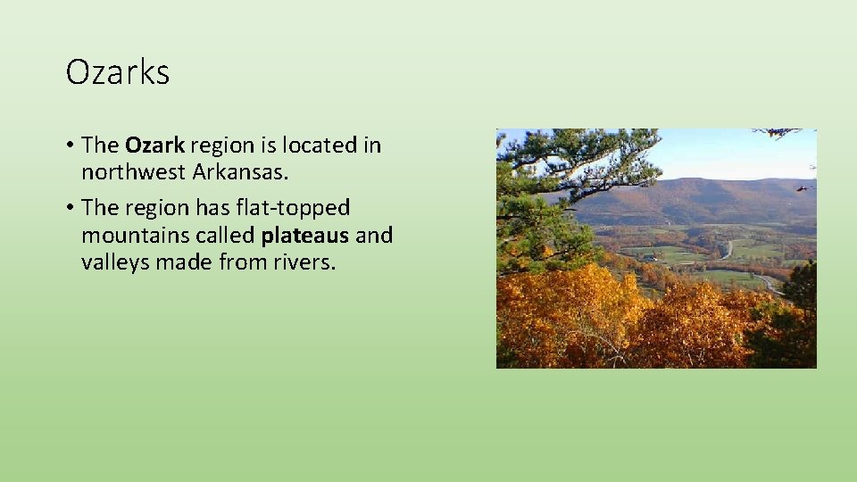 Ozarks • The Ozark region is located in northwest Arkansas. • The region has