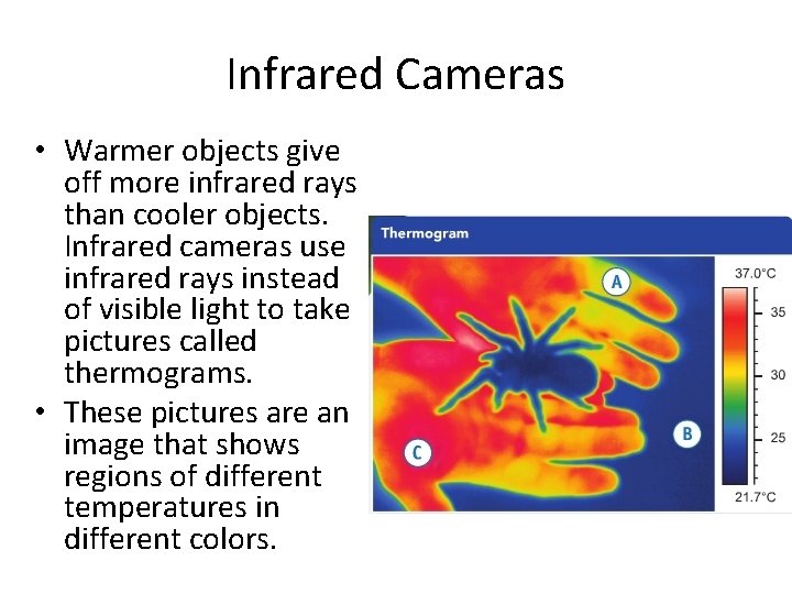 Infrared Cameras • Warmer objects give off more infrared rays than cooler objects. Infrared