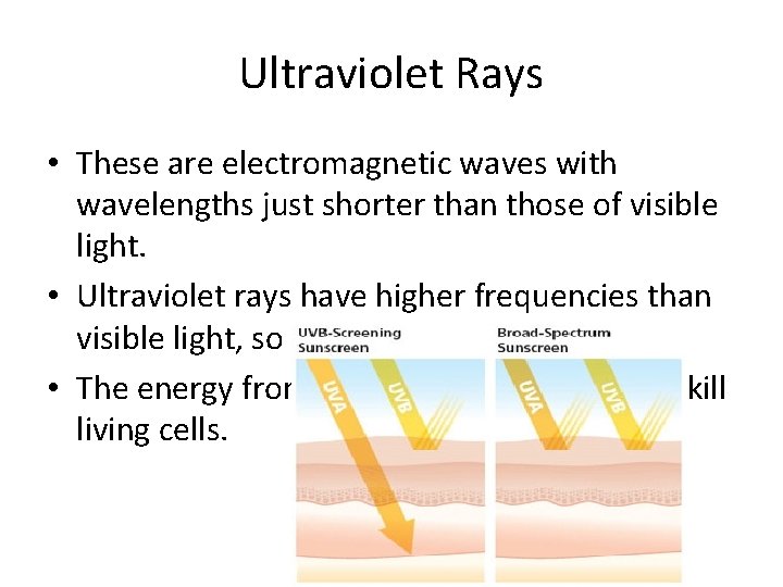 Ultraviolet Rays • These are electromagnetic waves with wavelengths just shorter than those of