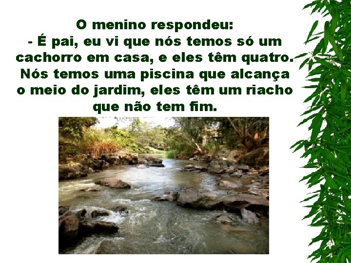 O menino respondeu: - É pai, eu vi que nós temos só um cachorro