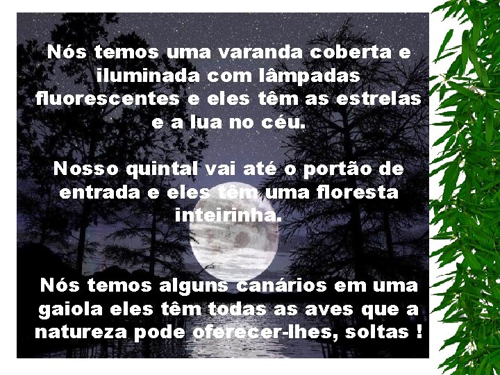 Nós temos uma varanda coberta e iluminada com lâmpadas fluorescentes e eles têm as