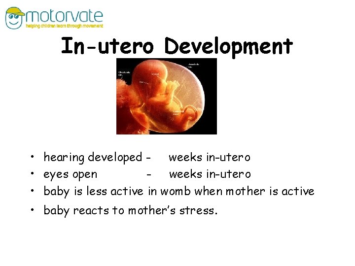 In-utero Development • hearing developed - weeks in-utero • eyes open - weeks in-utero