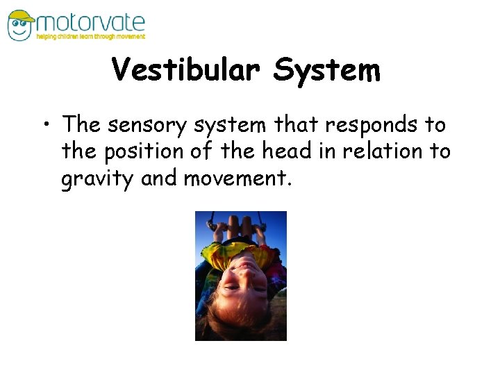 Vestibular System • The sensory system that responds to the position of the head