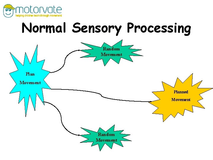 Normal Sensory Processing Random Movement Planned Movement Random Movement 