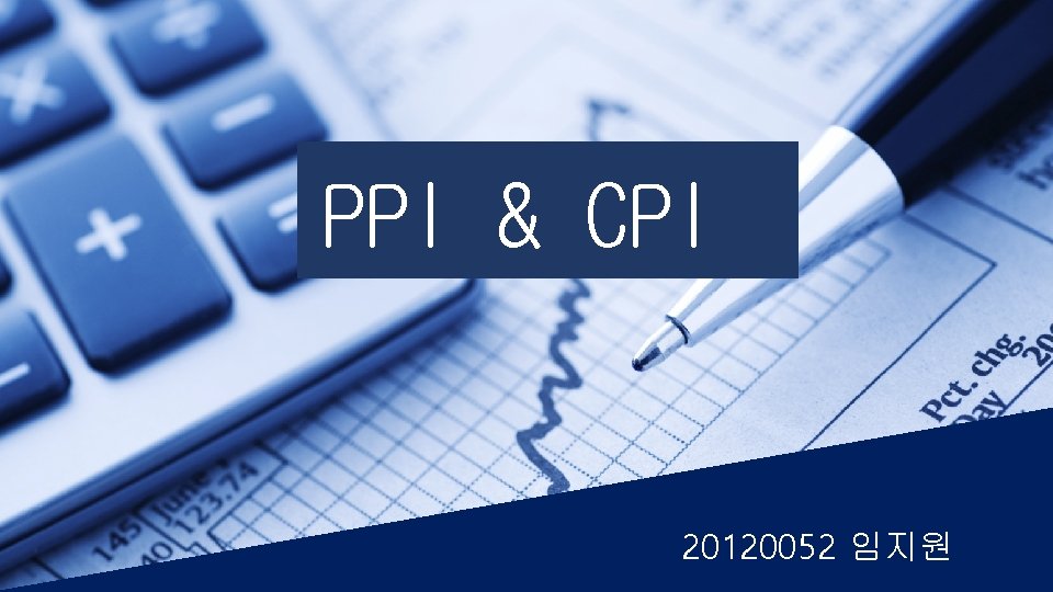 PPI & CPI 20120052 임지원 