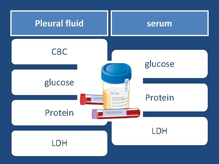 Pleural fluid serum CBC glucose Protein LDH 