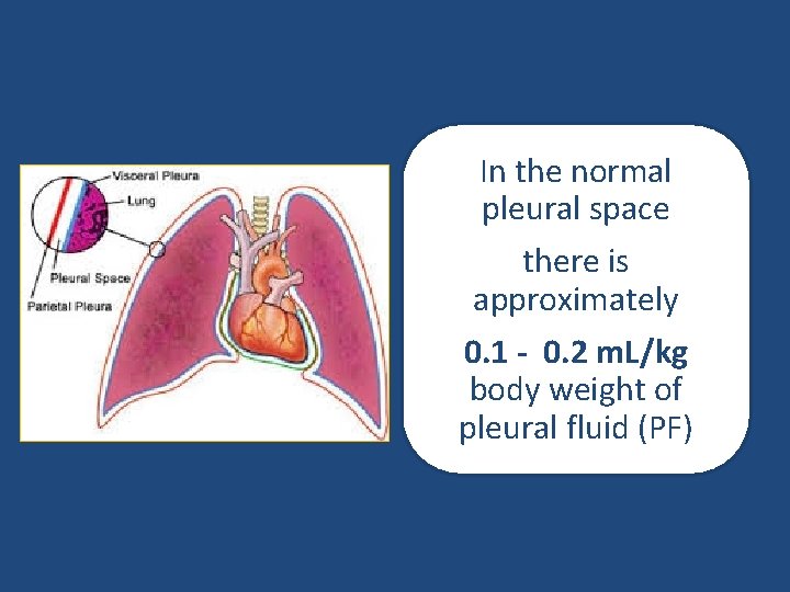 In the normal pleural space there is approximately 0. 1 - 0. 2 m.