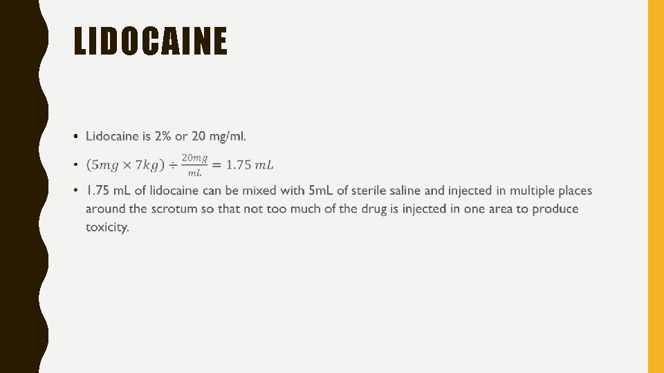 LIDOCAINE • 