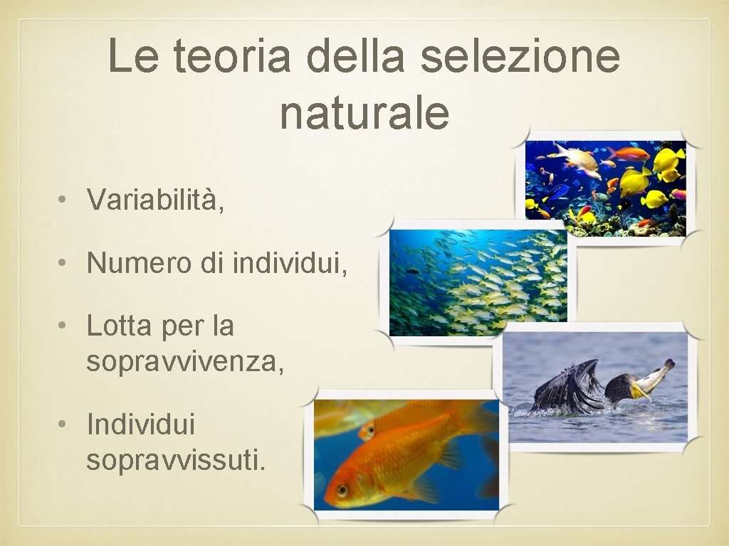 Le teoria della selezione naturale • Variabilità, • Numero di individui, • Lotta per