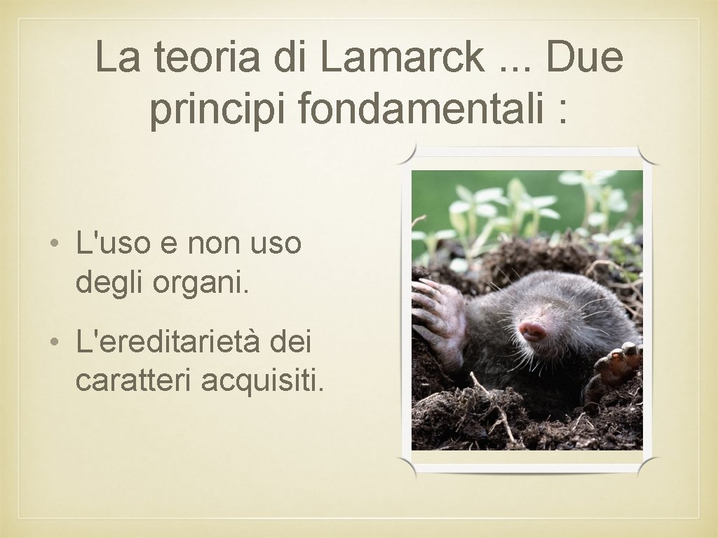 La teoria di Lamarck. . . Due principi fondamentali : • L'uso e non