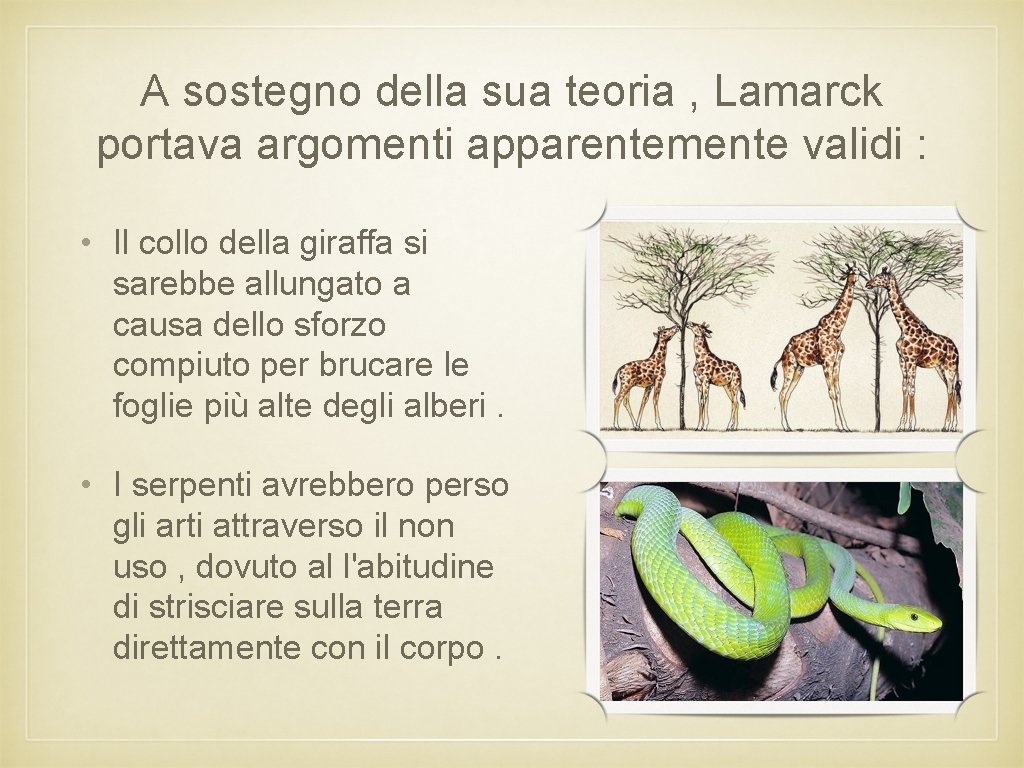 A sostegno della sua teoria , Lamarck portava argomenti apparentemente validi : • Il