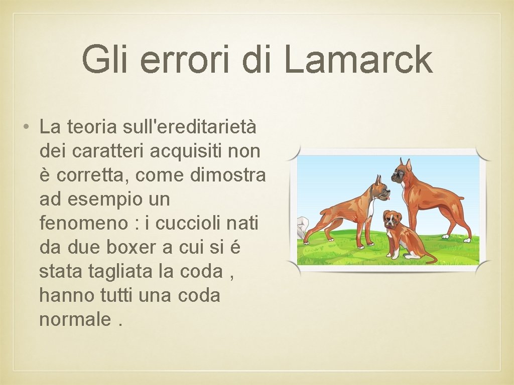 Gli errori di Lamarck • La teoria sull'ereditarietà dei caratteri acquisiti non è corretta,