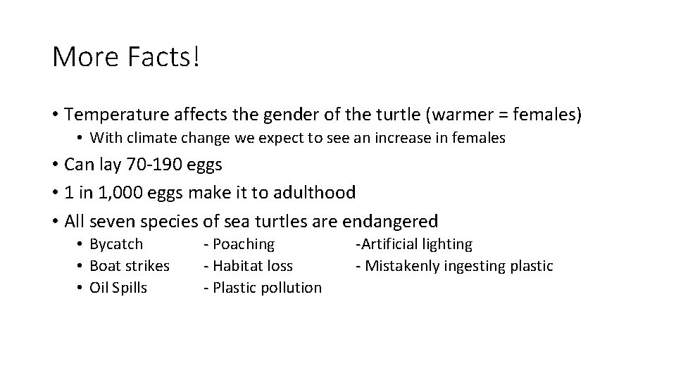 More Facts! • Temperature affects the gender of the turtle (warmer = females) •