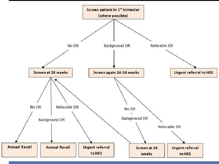 Screening for diabetic 