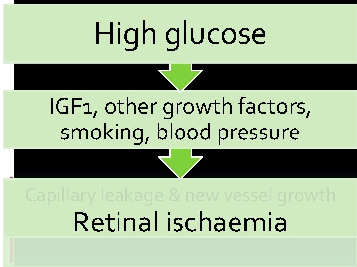 High glucose IGF 1, other growth factors, smoking, blood pressure Capillary leakage & new