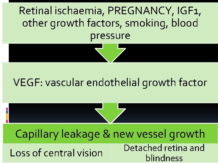 Retinal ischaemia, PREGNANCY, IGF 1, other growth factors, smoking, blood pressure VEGF: vascular endothelial
