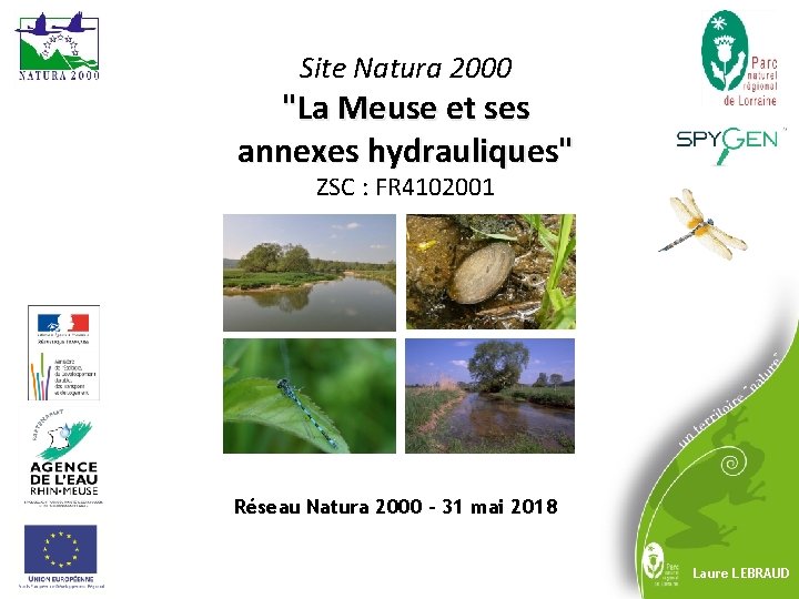 Site Natura 2000 "La Meuse et ses annexes hydrauliques" ZSC : FR 4102001 Réseau