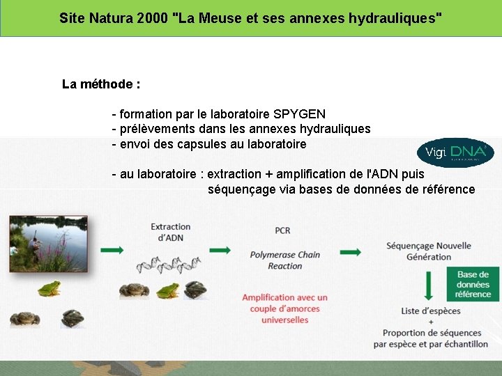 Site Natura 2000 "La Meuse et ses annexes hydrauliques" La méthode : - formation