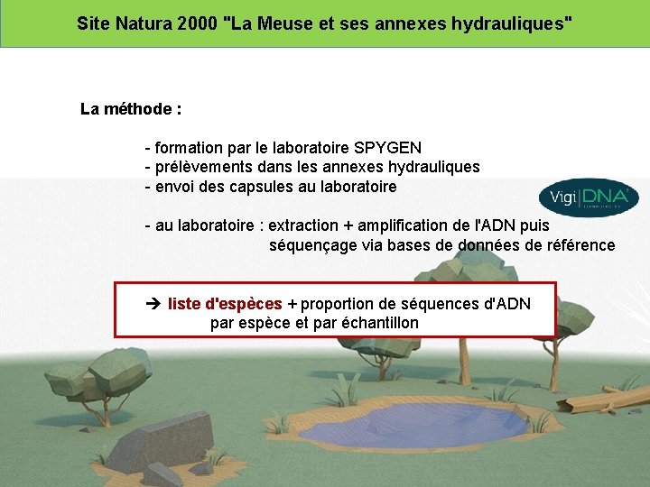 Site Natura 2000 "La Meuse et ses annexes hydrauliques" La méthode : - formation