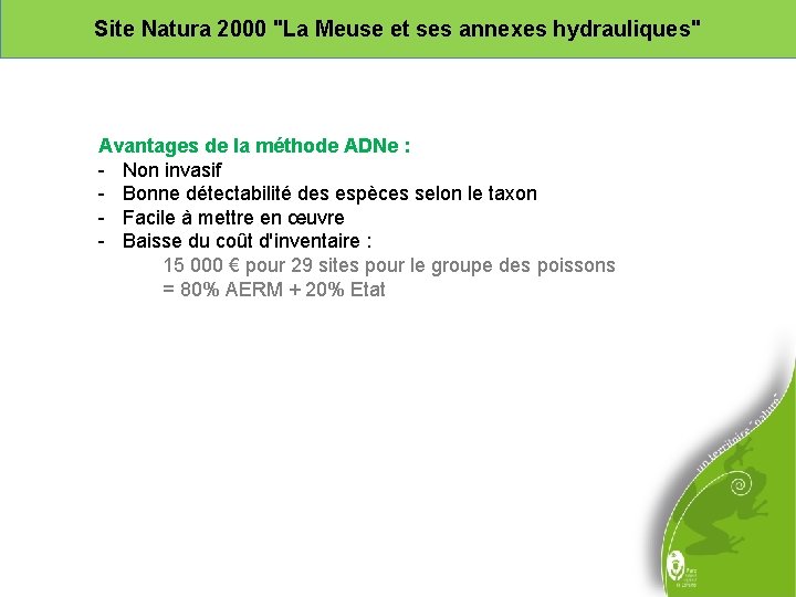 Site Natura 2000 "La Meuse et ses annexes hydrauliques" Avantages de la méthode ADNe