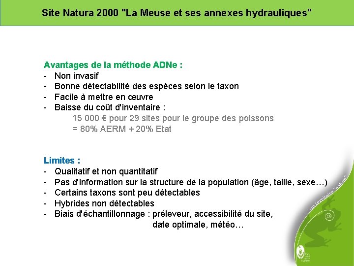 Site Natura 2000 "La Meuse et ses annexes hydrauliques" Avantages de la méthode ADNe