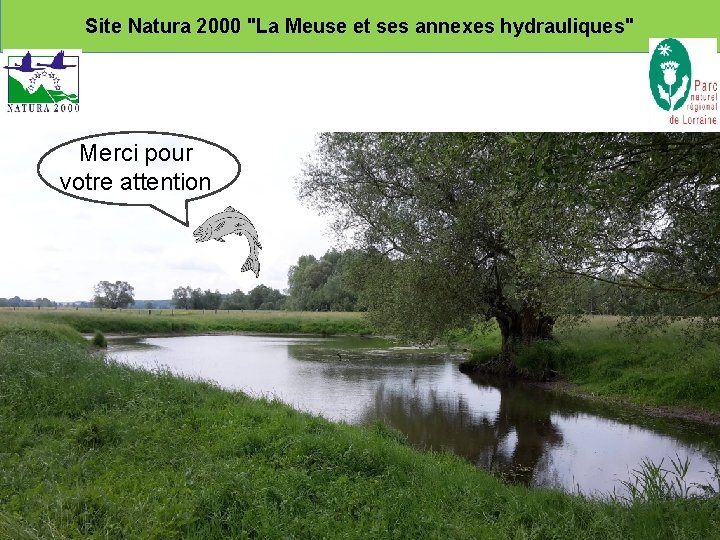 Site Natura 2000 "La Meuse et ses annexes hydrauliques" Merci pour votre attention 