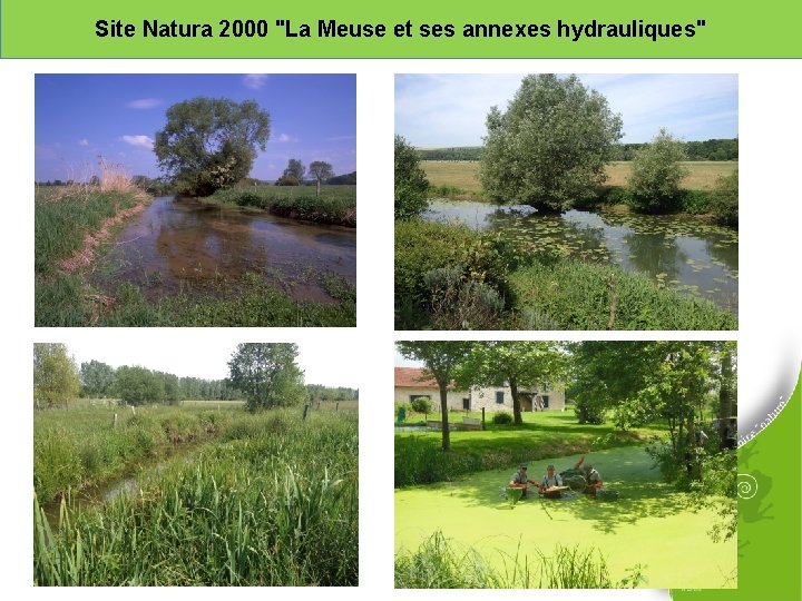 Site Natura 2000 "La Meuse et ses annexes hydrauliques" 