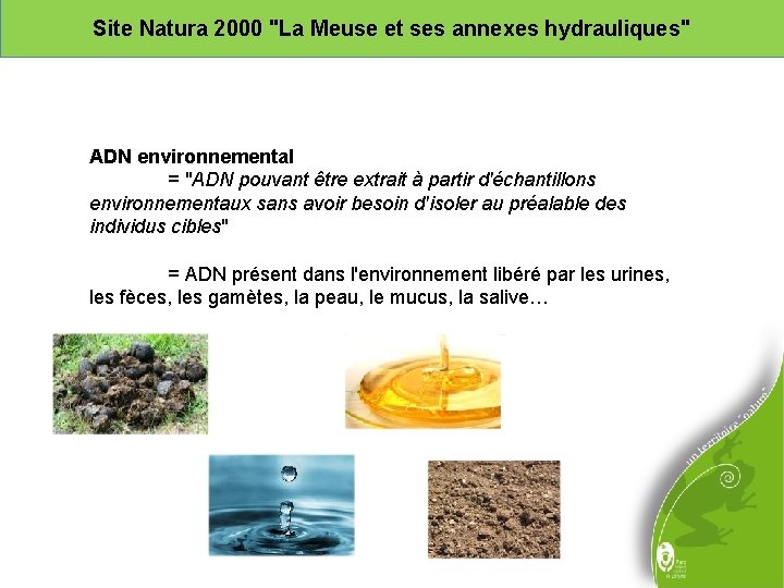 Site Natura 2000 "La Meuse et ses annexes hydrauliques" ADN environnemental = "ADN pouvant