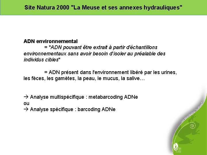 Site Natura 2000 "La Meuse et ses annexes hydrauliques" ADN environnemental = "ADN pouvant