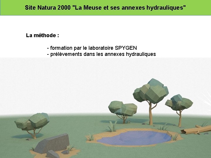 Site Natura 2000 "La Meuse et ses annexes hydrauliques" La méthode : - formation