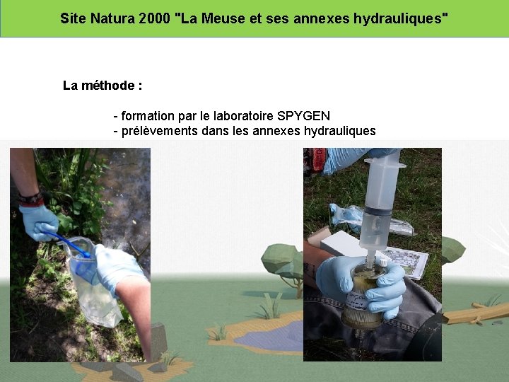 Site Natura 2000 "La Meuse et ses annexes hydrauliques" La méthode : - formation