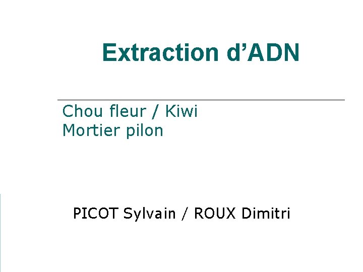 Extraction d’ADN Chou fleur / Kiwi Mortier pilon PICOT Sylvain / ROUX Dimitri 