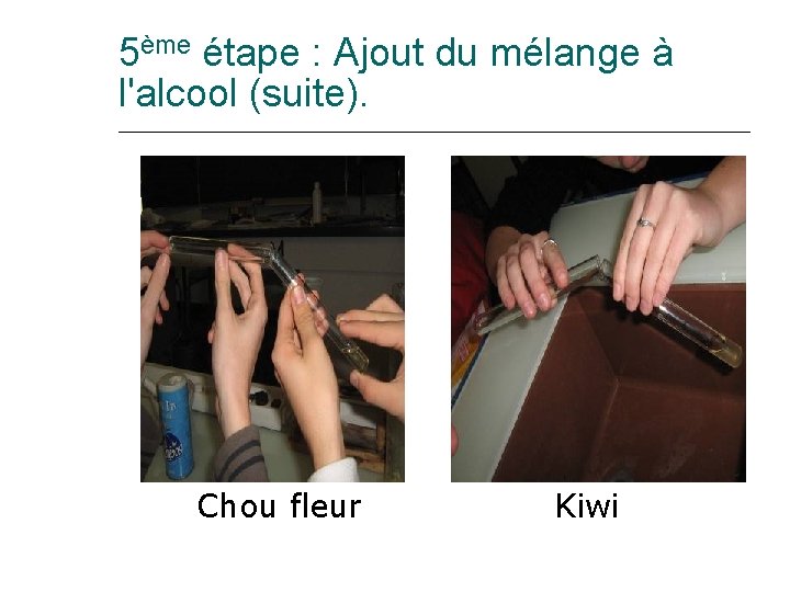 5ème étape : Ajout du mélange à l'alcool (suite). Chou fleur Kiwi 
