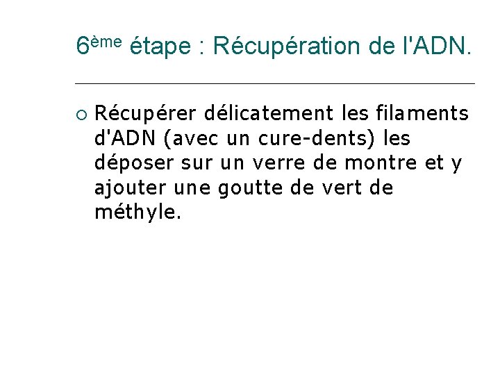 6ème étape : Récupération de l'ADN. Récupérer délicatement les filaments d'ADN (avec un cure-dents)
