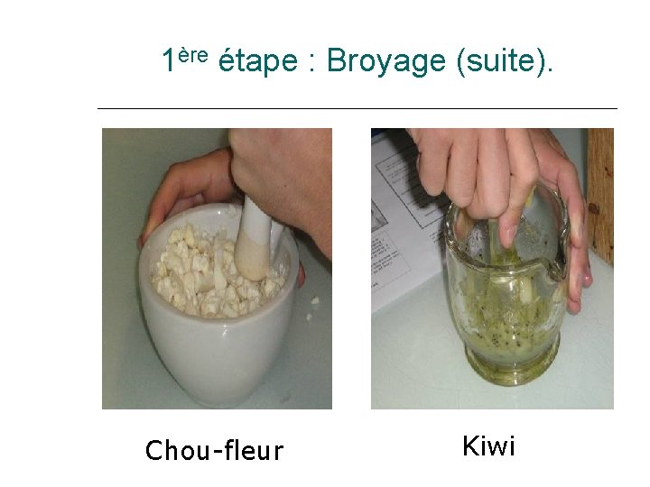 1ère étape : Broyage (suite). Chou-fleur Kiwi 