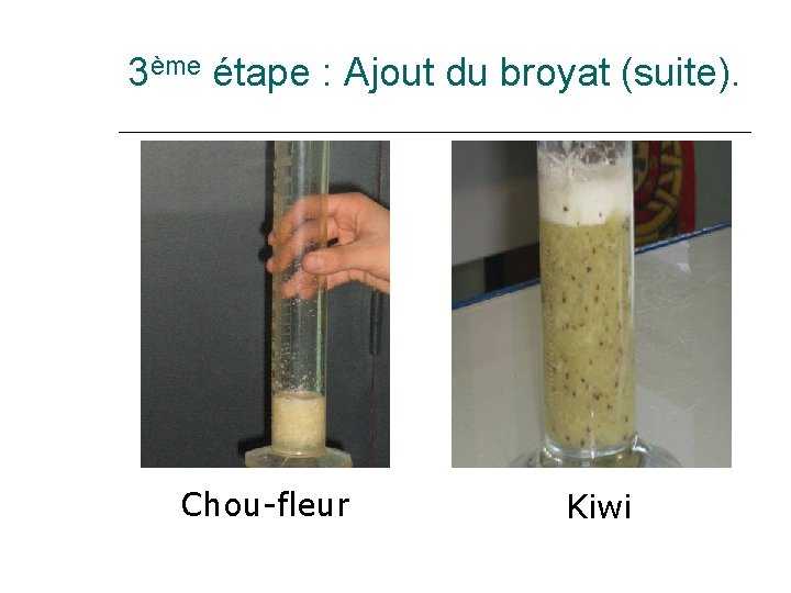 3ème étape : Ajout du broyat (suite). Chou-fleur Kiwi 