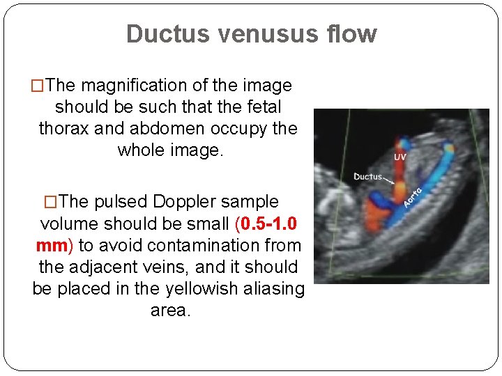 Ductus venusus flow �The magnification of the image should be such that the fetal